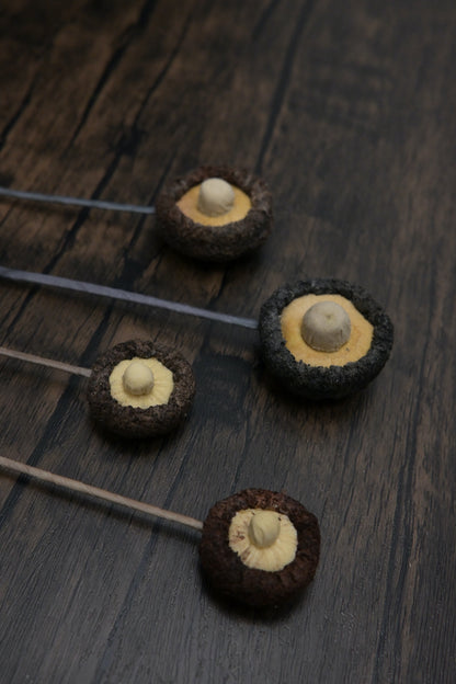 冬菇書籤｜荒廢書本會長菇