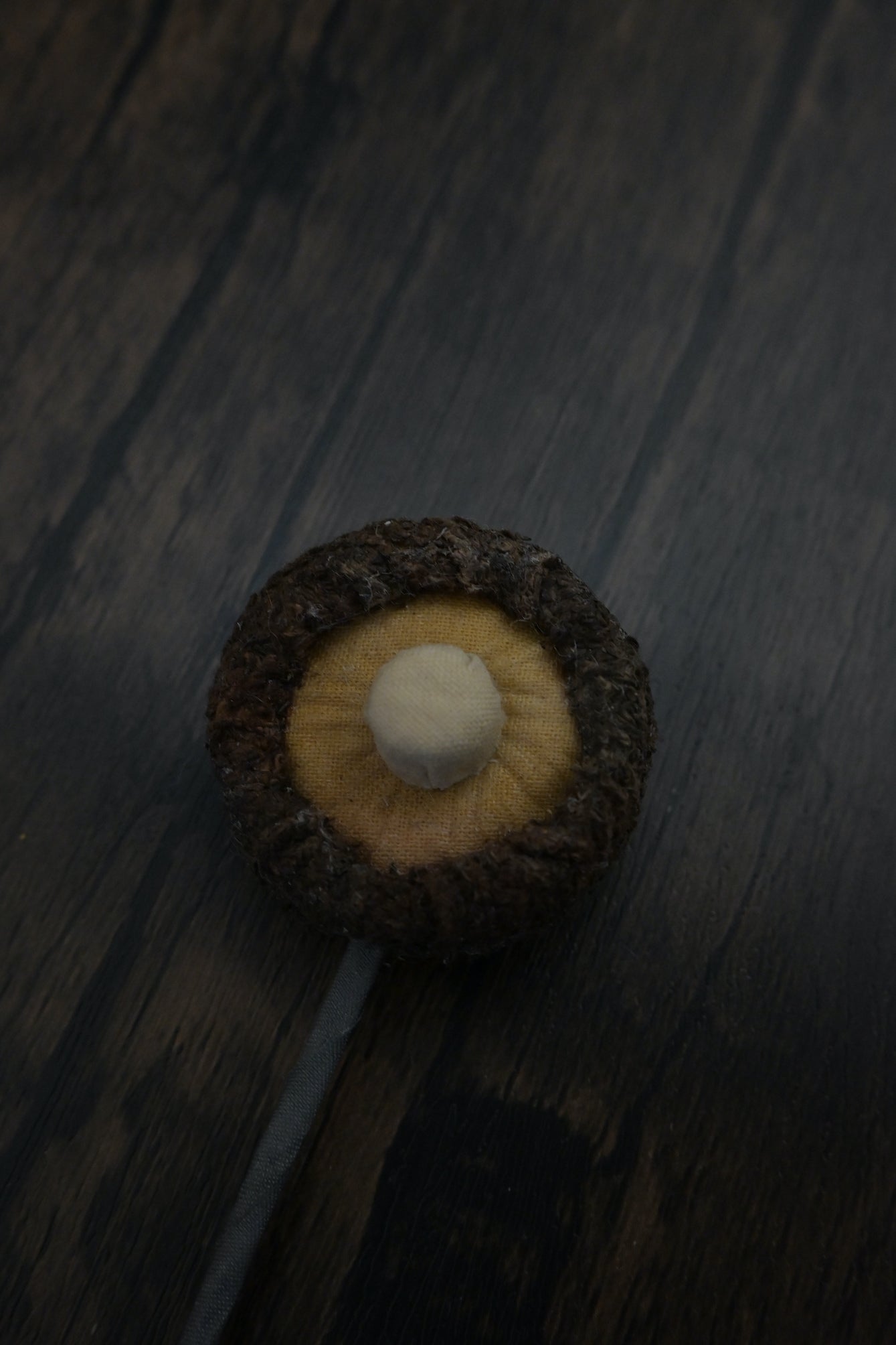 冬菇書籤｜荒廢書本會長菇