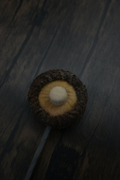 冬菇書籤｜荒廢書本會長菇