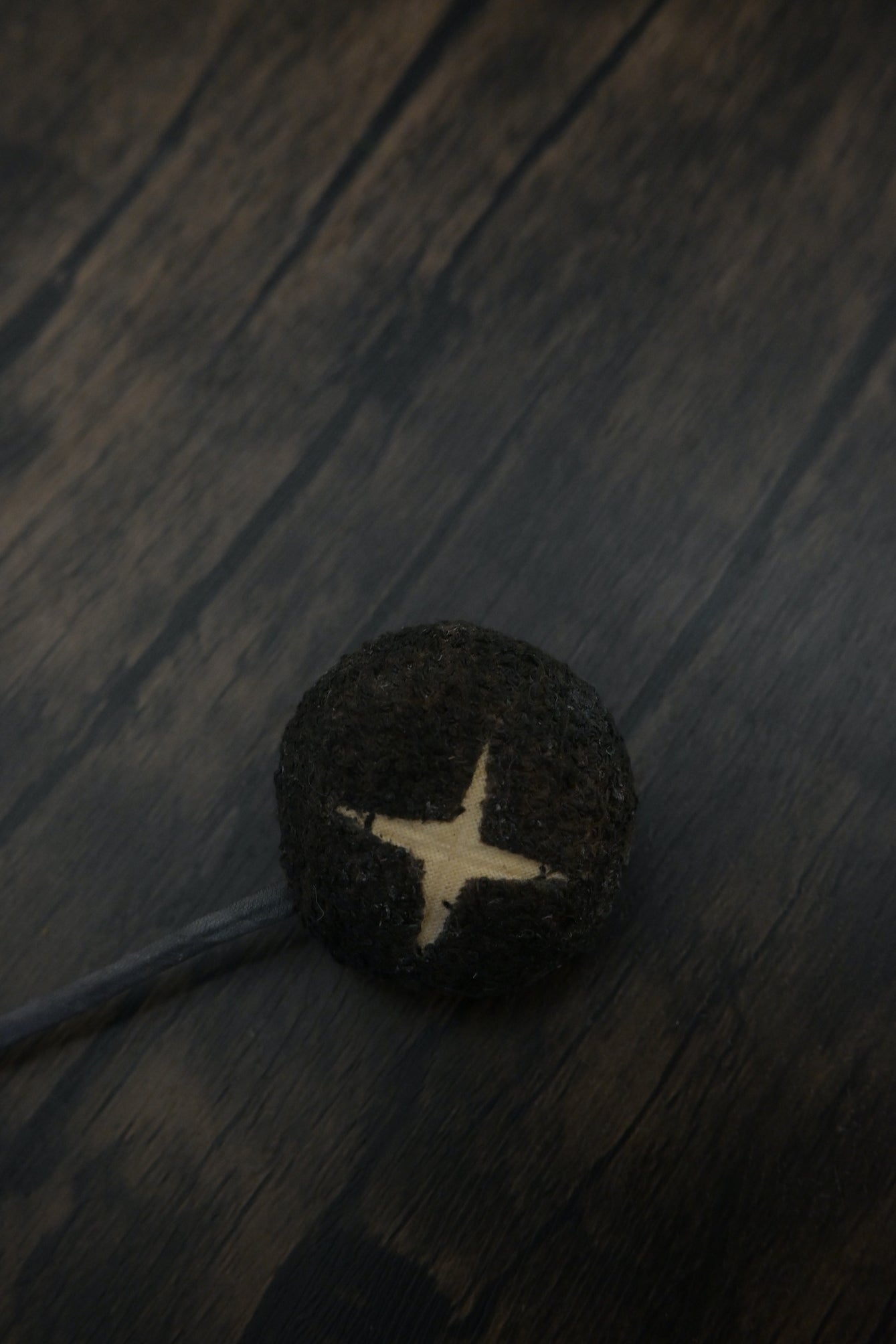 冬菇書籤｜荒廢書本會長菇