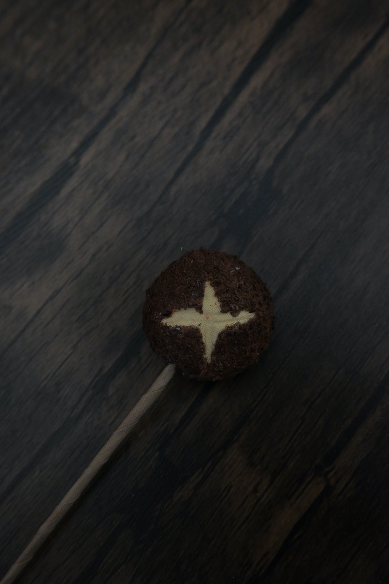 冬菇書籤｜荒廢書本會長菇