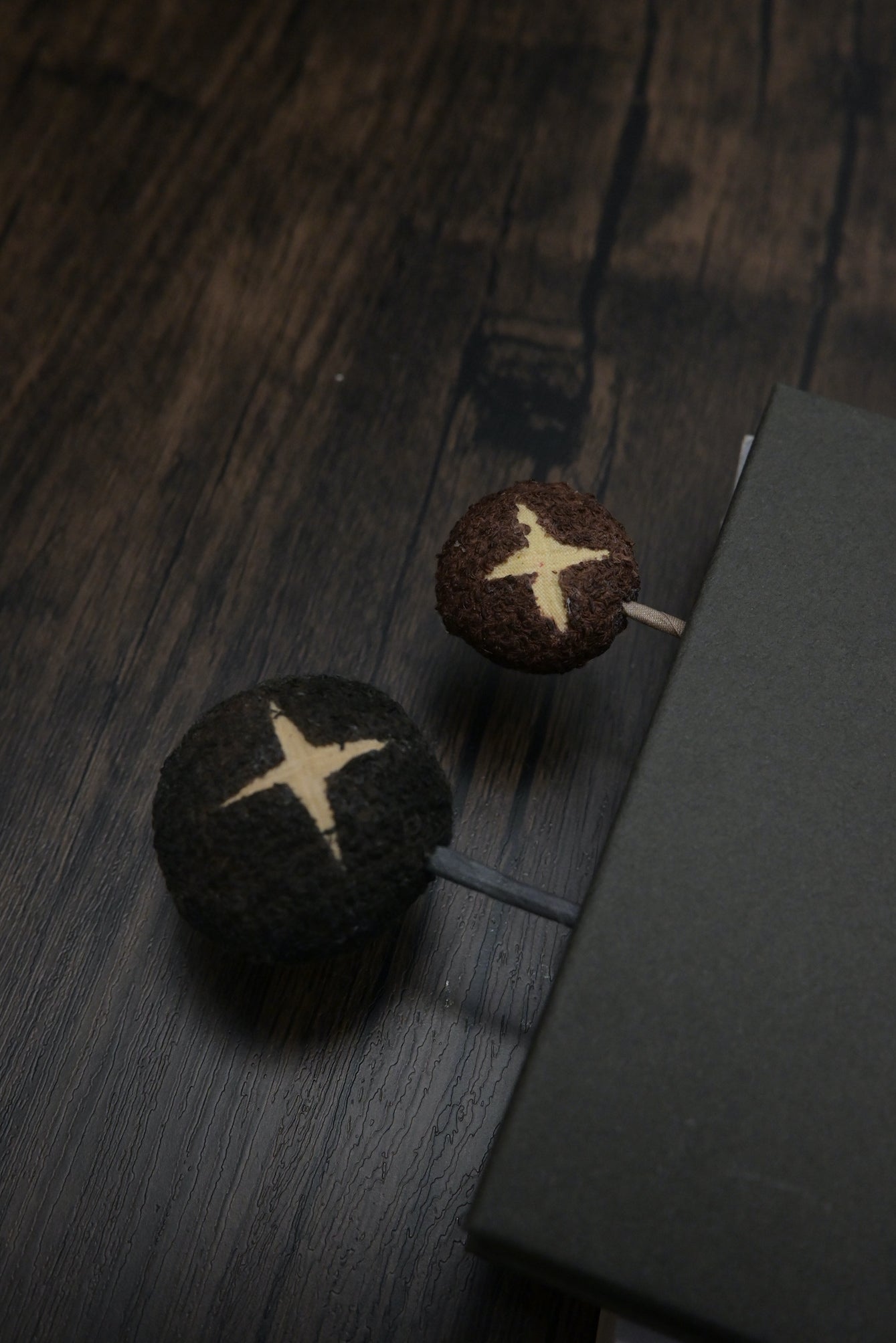 冬菇書籤｜荒廢書本會長菇