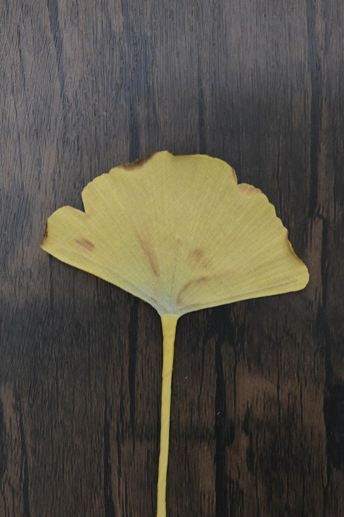 一葉書籤｜銀杏