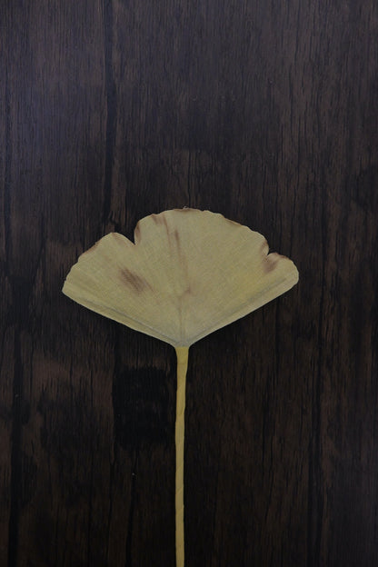 一葉書籤｜銀杏