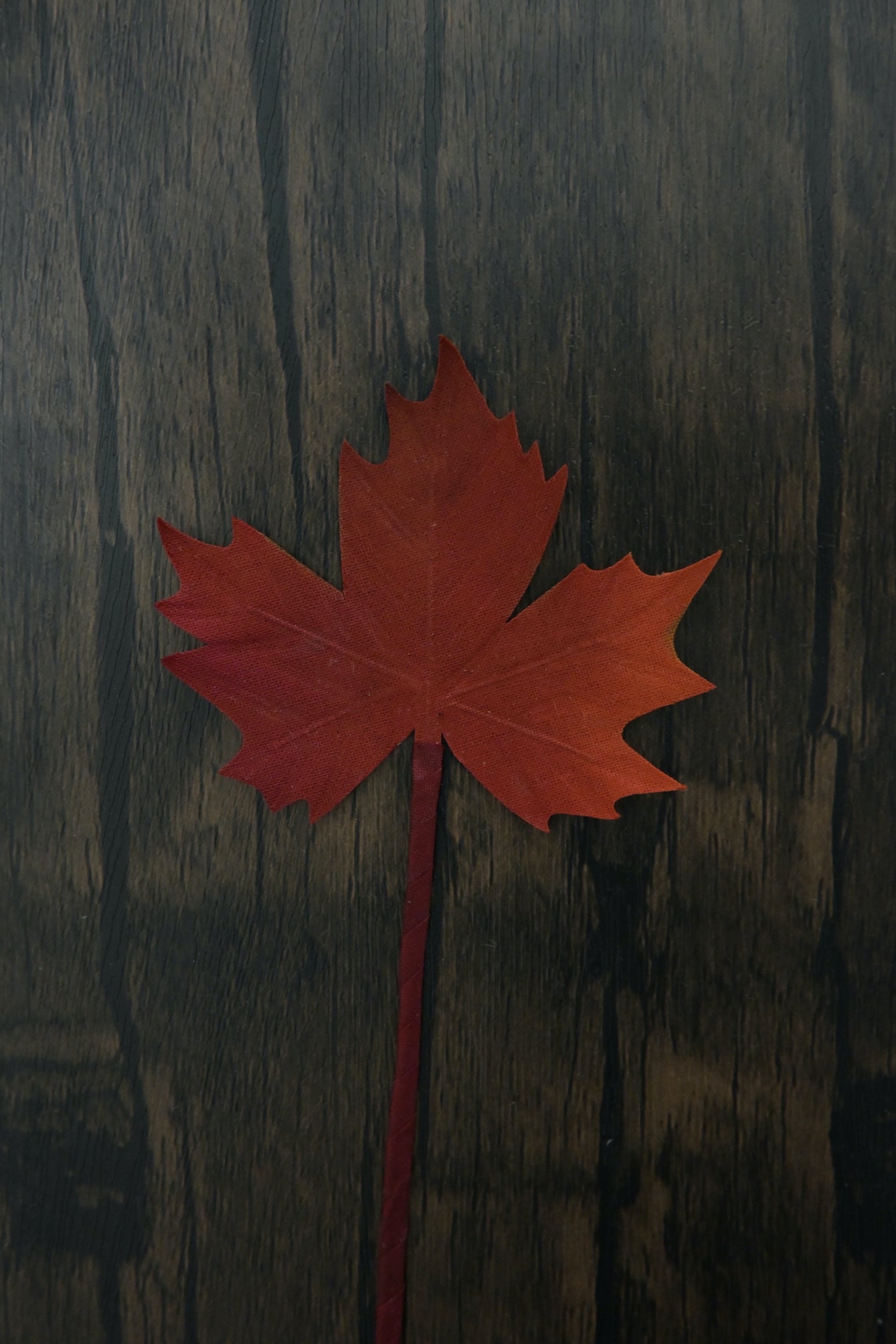 一葉書籤｜紅葉