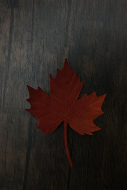 落葉｜紅葉心口針