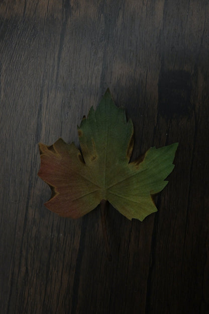 落葉｜紅葉心口針