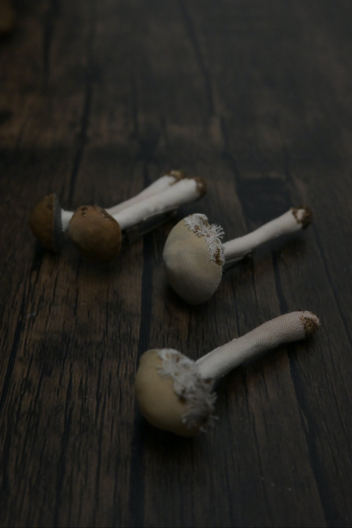 森林小毒菇｜心口針