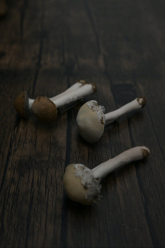 森林小毒菇｜心口針