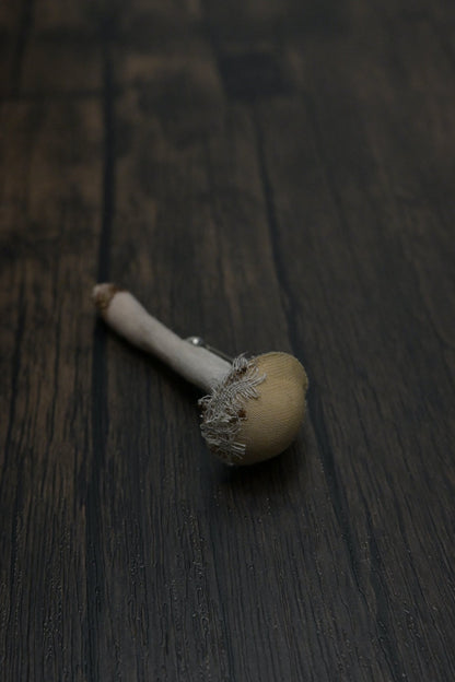 森林小毒菇｜心口針