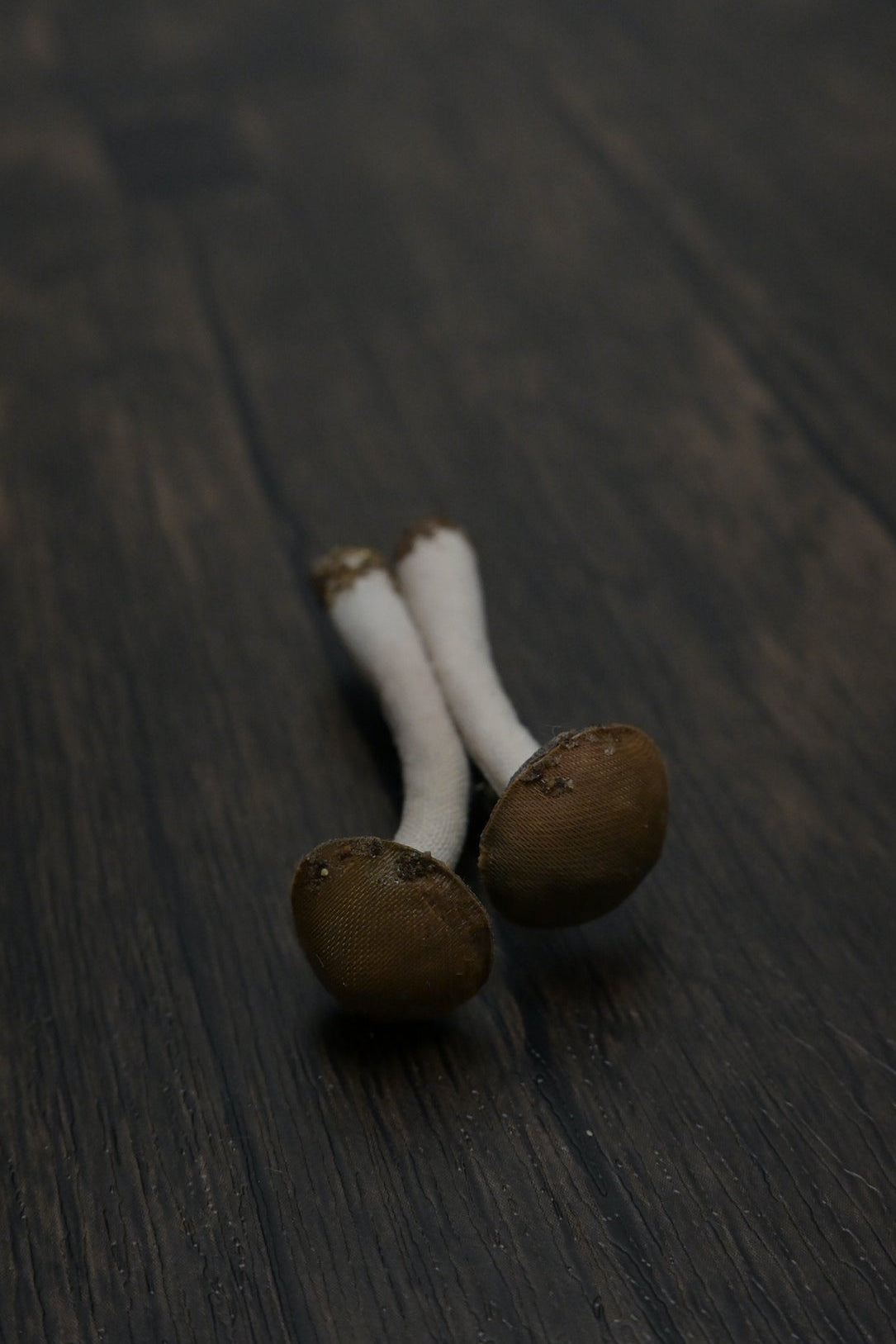 森林小毒菇｜心口針