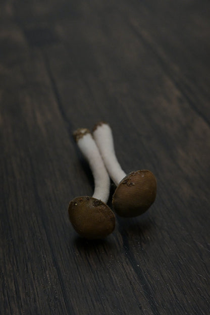 森林小毒菇｜心口針