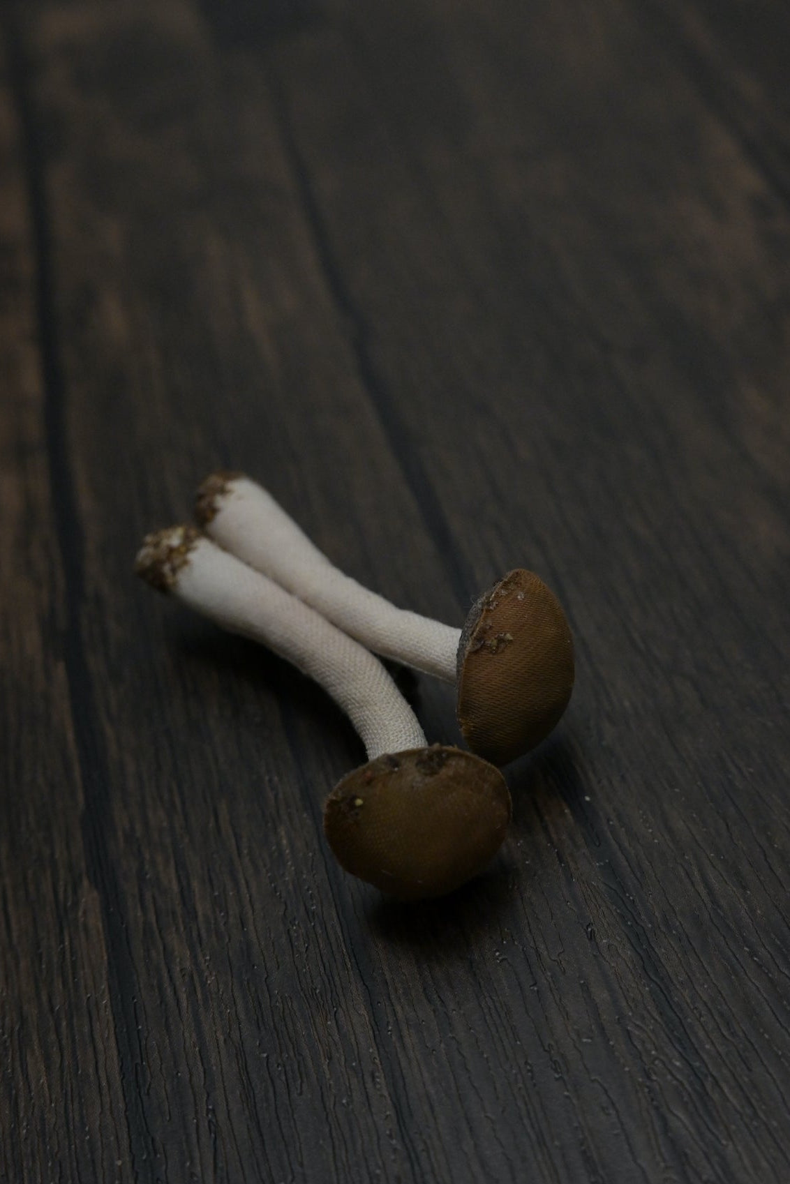 森林小毒菇｜心口針