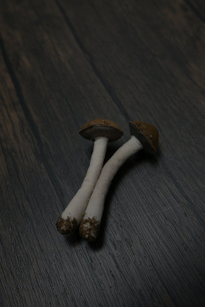 森林小毒菇｜心口針