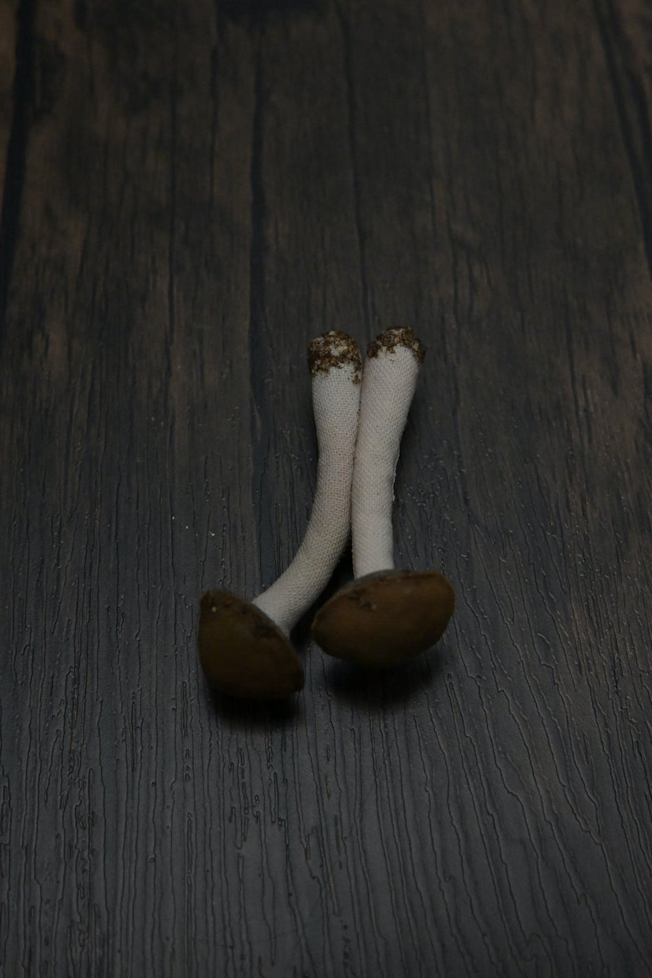 森林小毒菇｜心口針