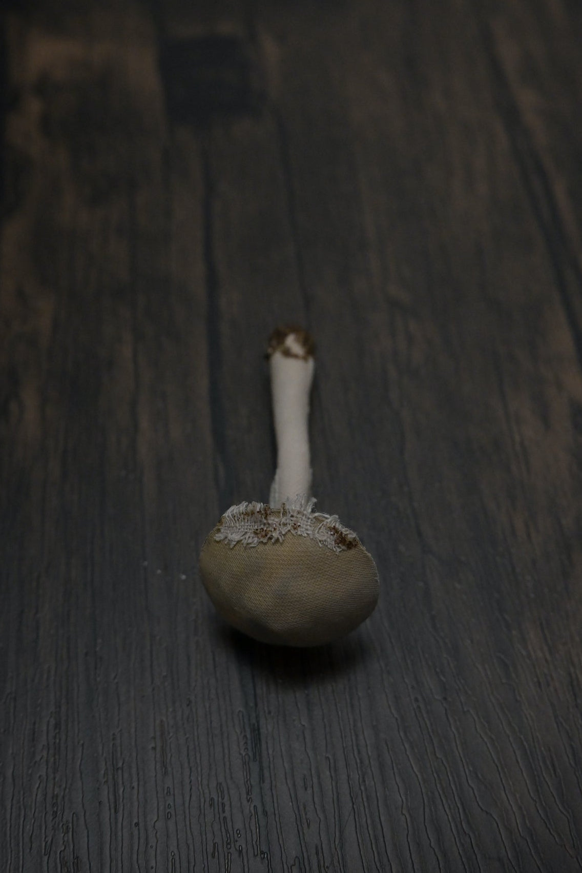 森林小毒菇｜心口針