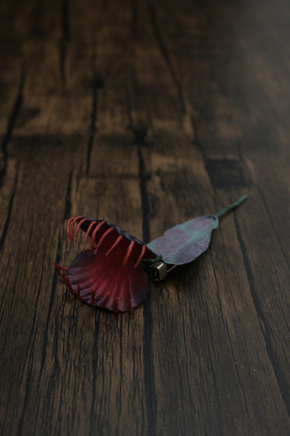 奇異小花｜捕蠅草心口針