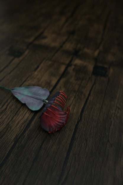 奇異小花｜捕蠅草心口針