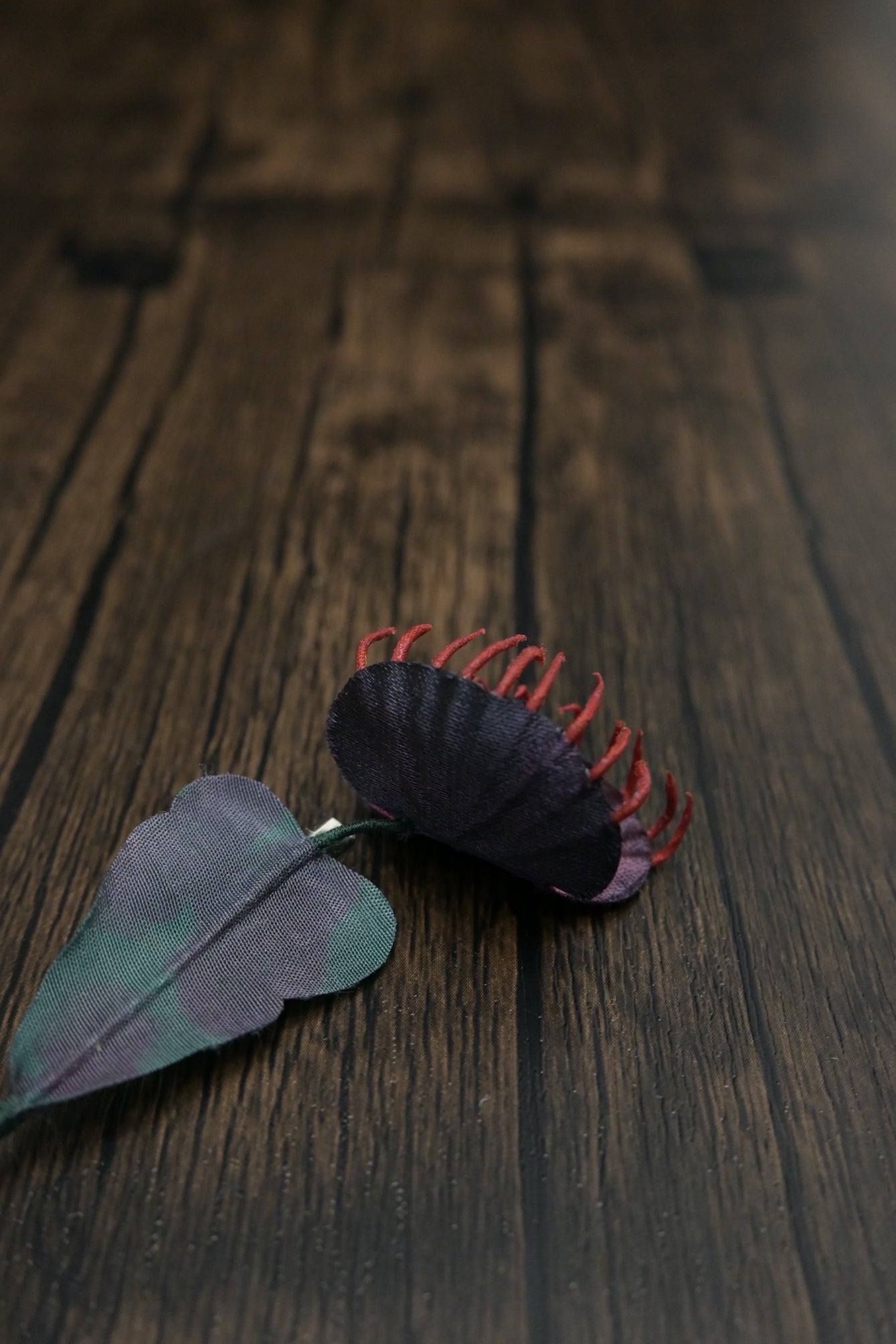 奇異小花｜捕蠅草心口針