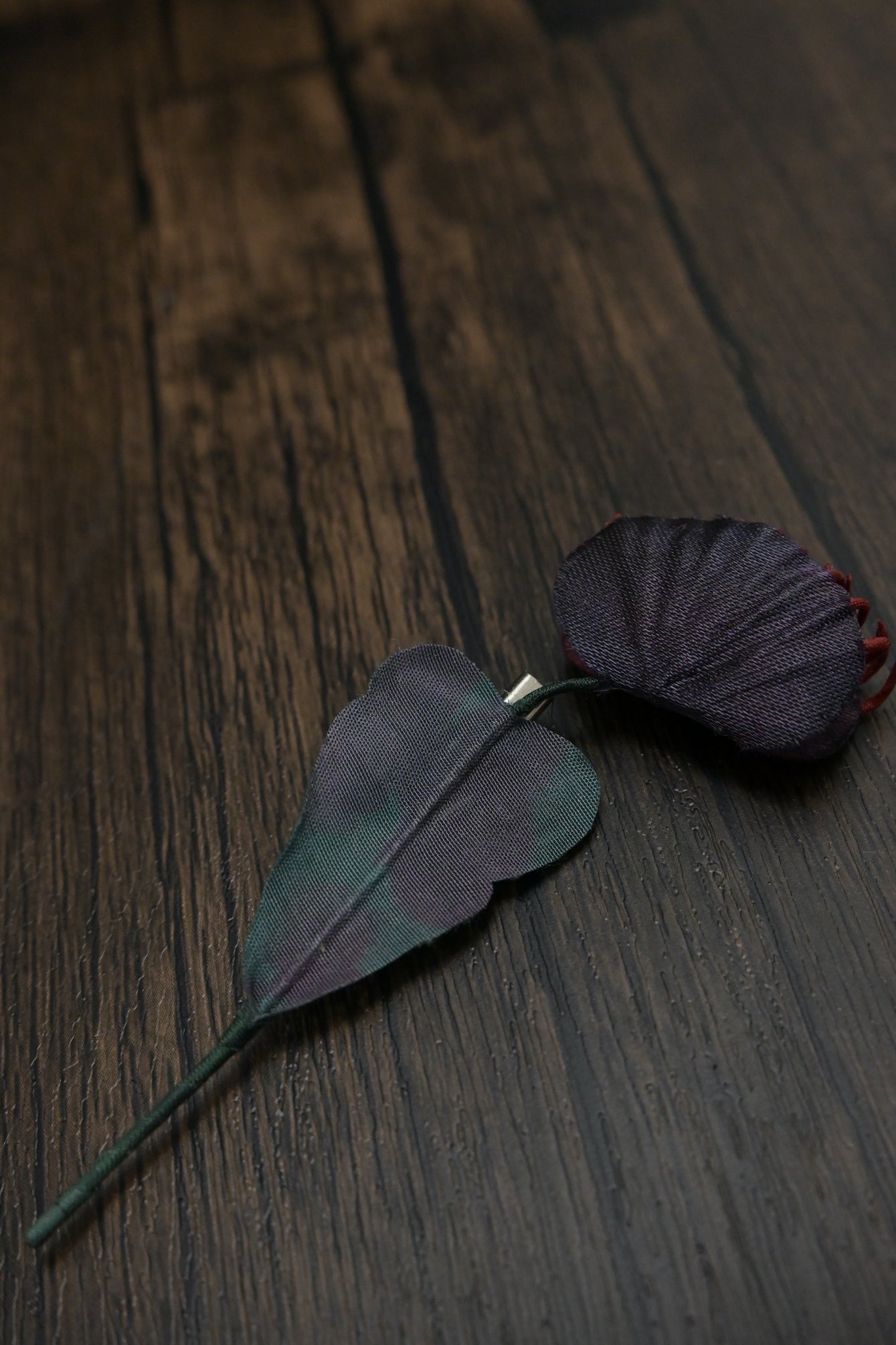 奇異小花｜捕蠅草心口針