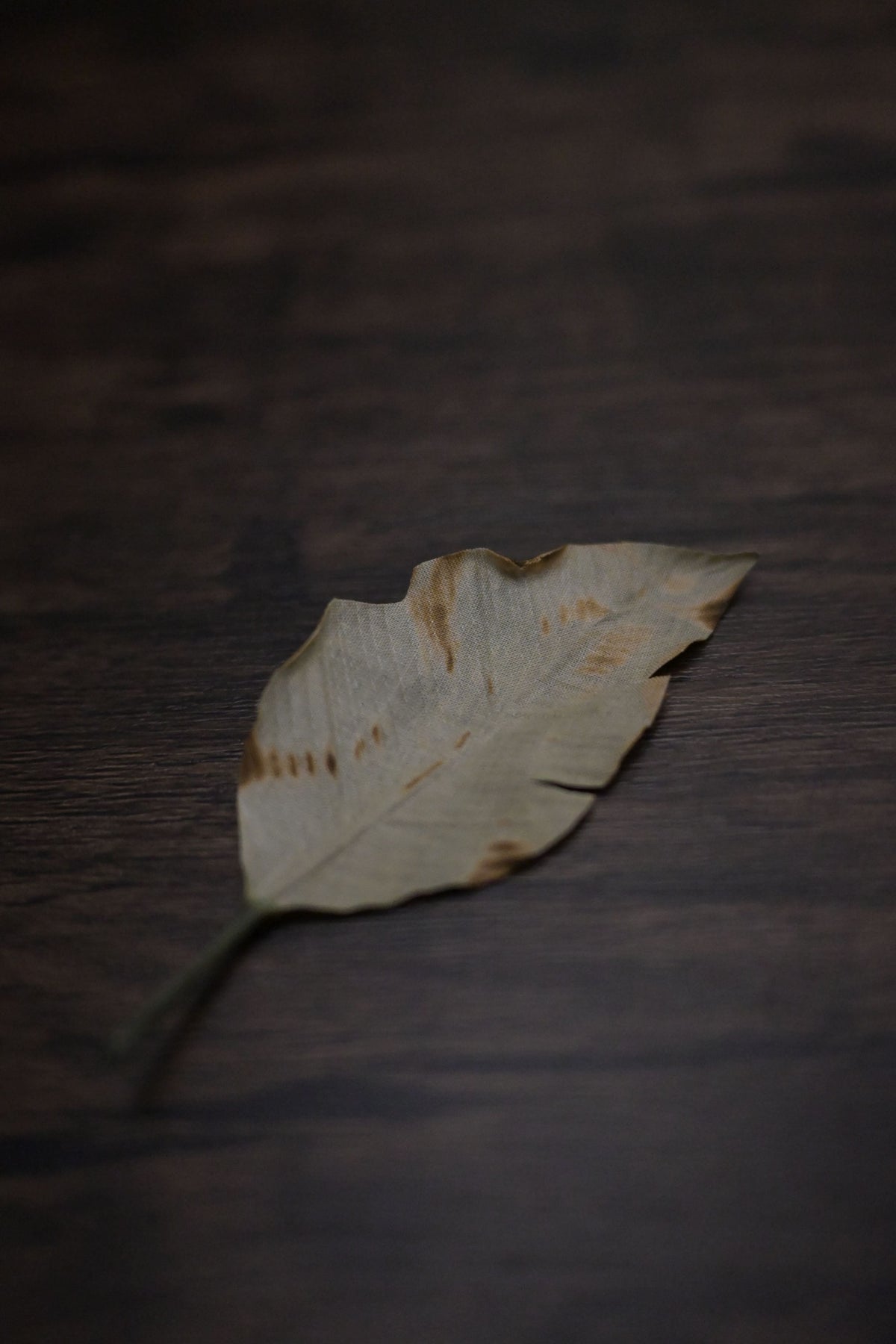 秋至｜落葉心口針