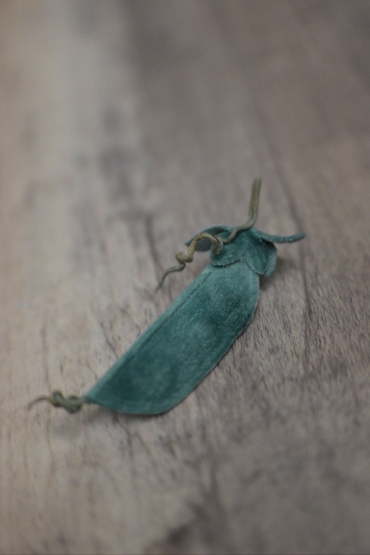 野菜形染｜荷蘭豆心口針
