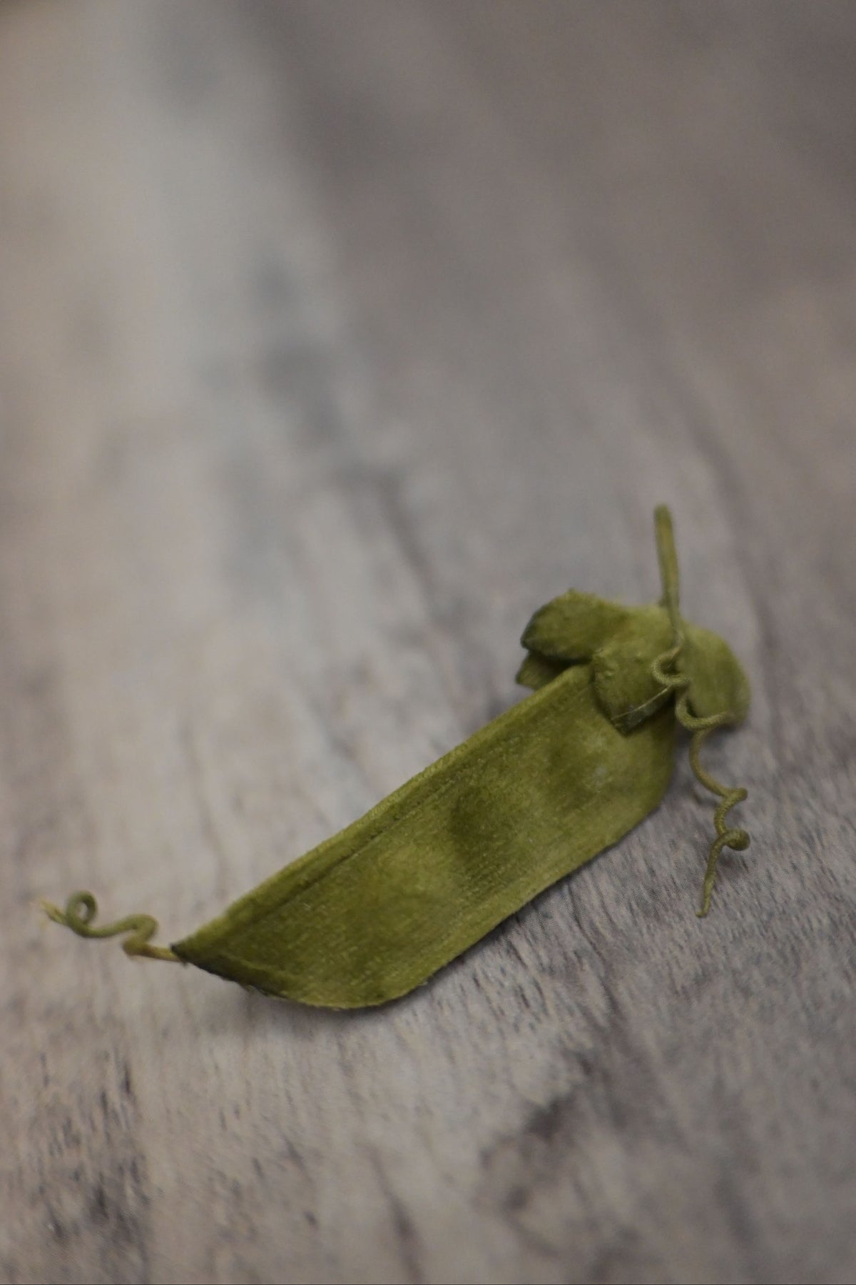 野菜形染｜荷蘭豆心口針