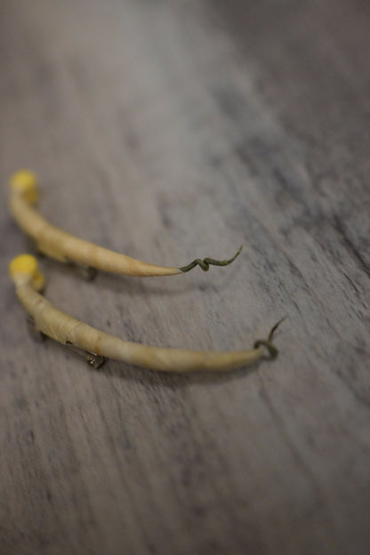 野菜形染｜豆芽菜心口針