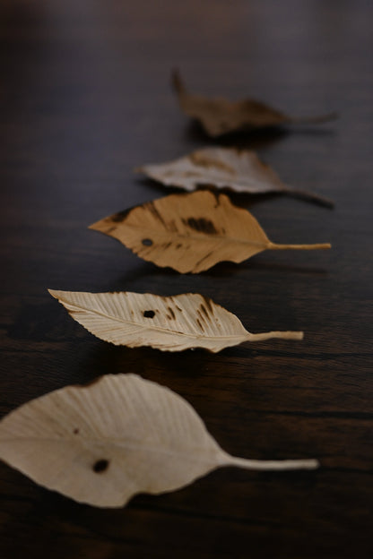 天然染｜葉子心口針