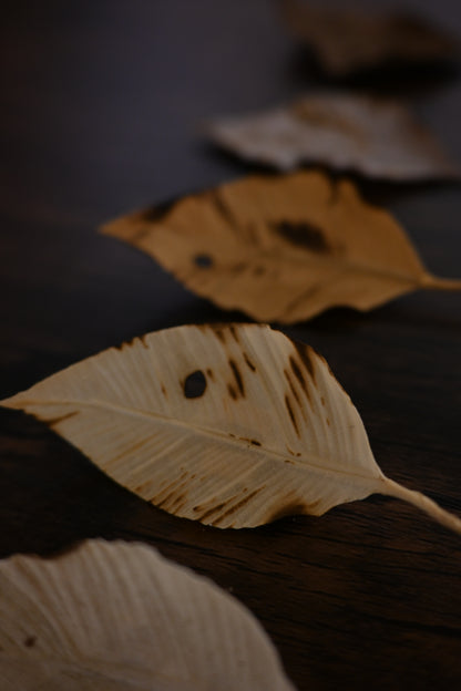 枯葉心口針／髮夾班