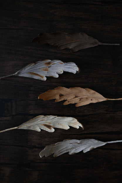 天然染｜橡樹葉心口針