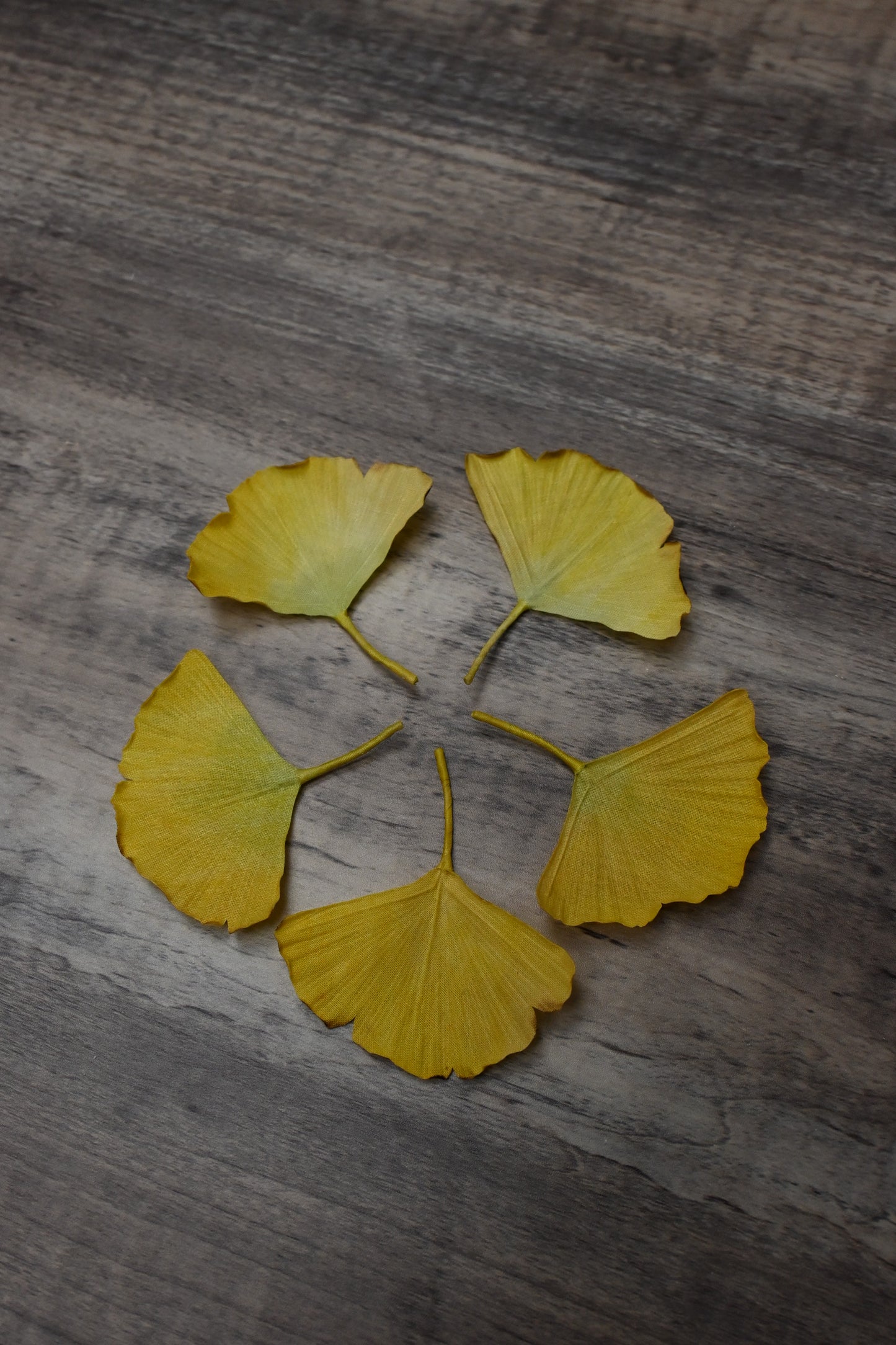 銀杏心口針／髮夾班