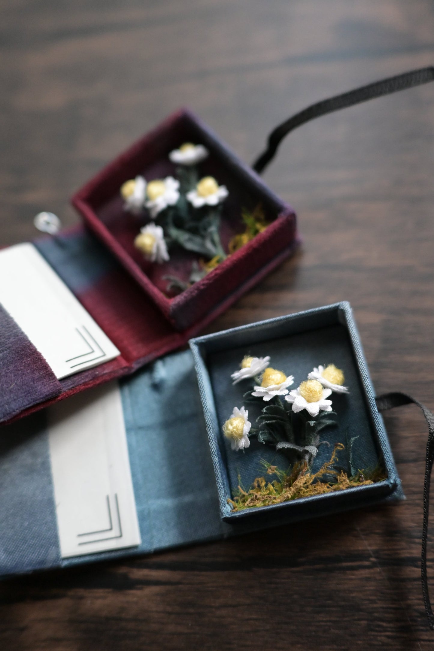 花圖鑑豆本｜雛菊篇