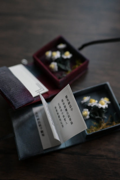 花圖鑑豆本｜雛菊篇