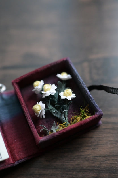花圖鑑豆本｜雛菊篇