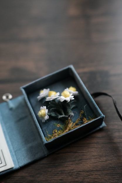 花圖鑑豆本｜雛菊篇