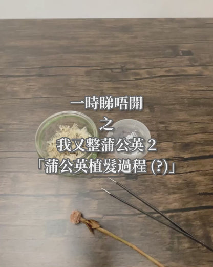 藍蒲公英｜復古木框擺設【預訂產品：製作約需兩至三星期】